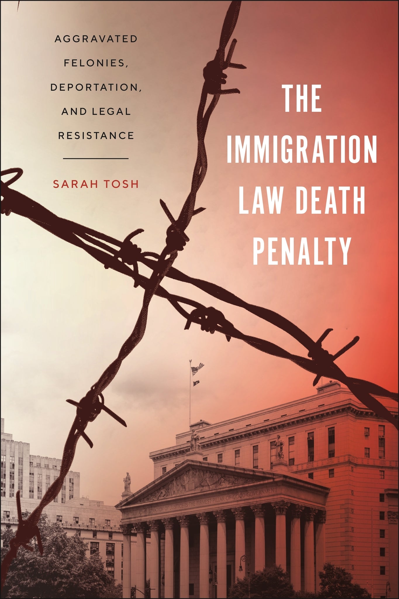 Cover image for The Immigration Law Death Penalty ISBN 9781479816286